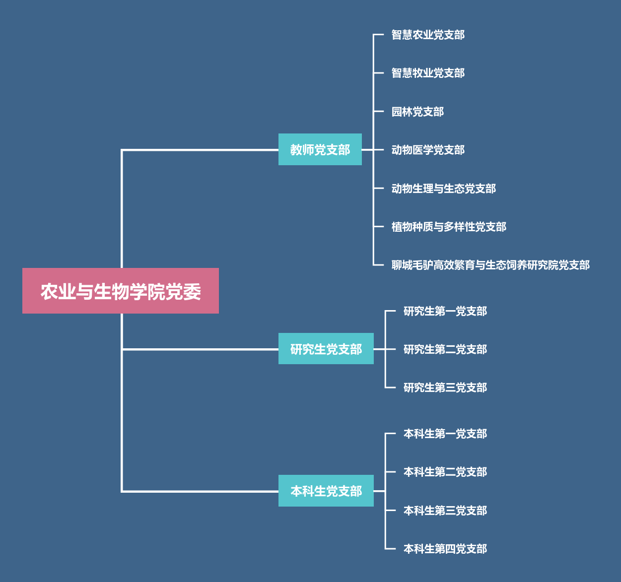 聊城大学农业与生物学院党委