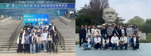 WPS拼图0.png