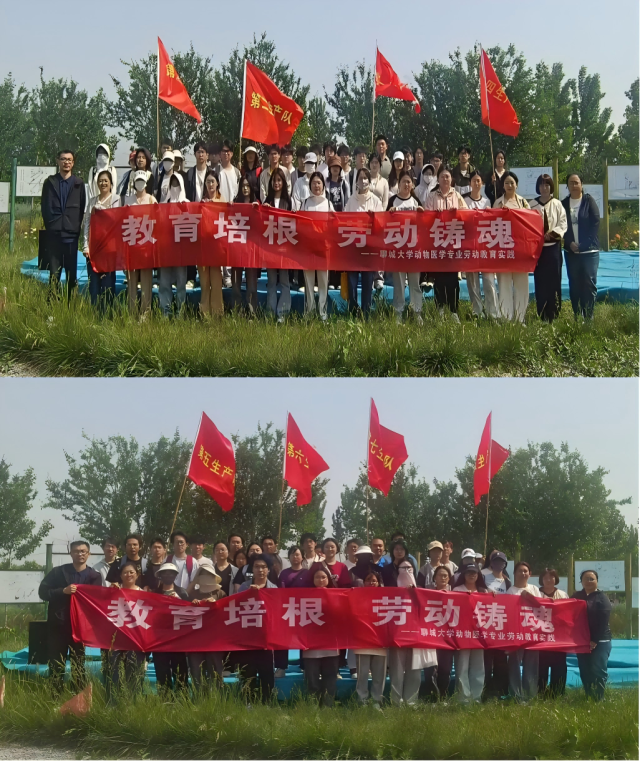 WPS拼图0(1).png