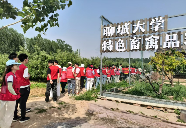 图片5.png