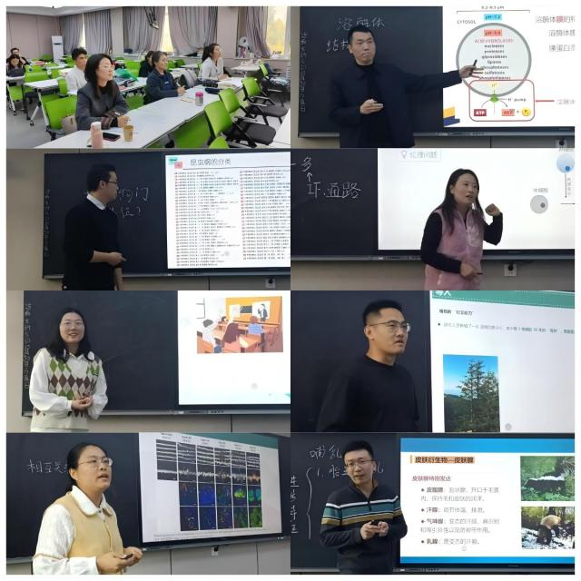 20251108176259619574807311.jpg 照片.jpg